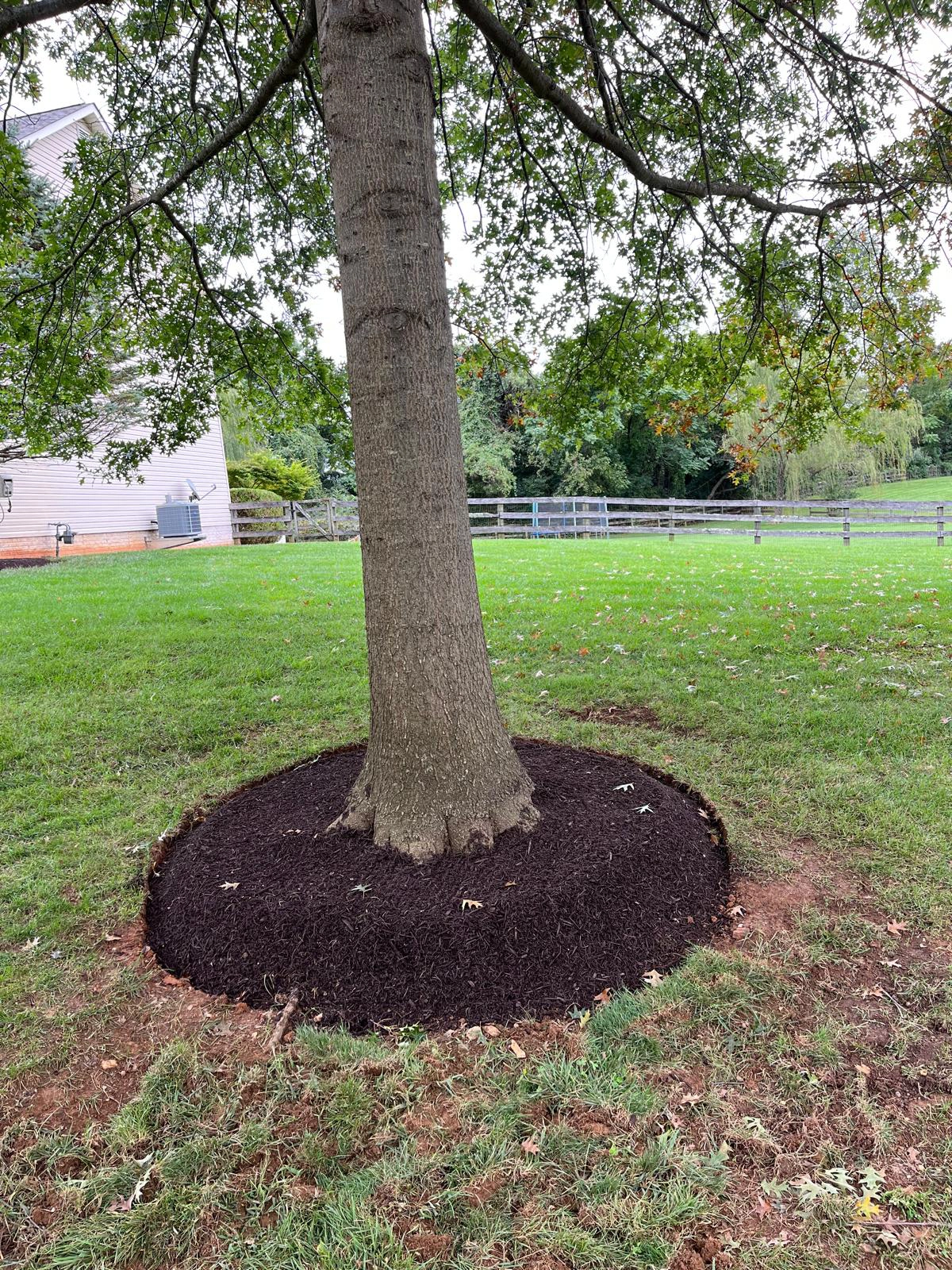 Landscaping